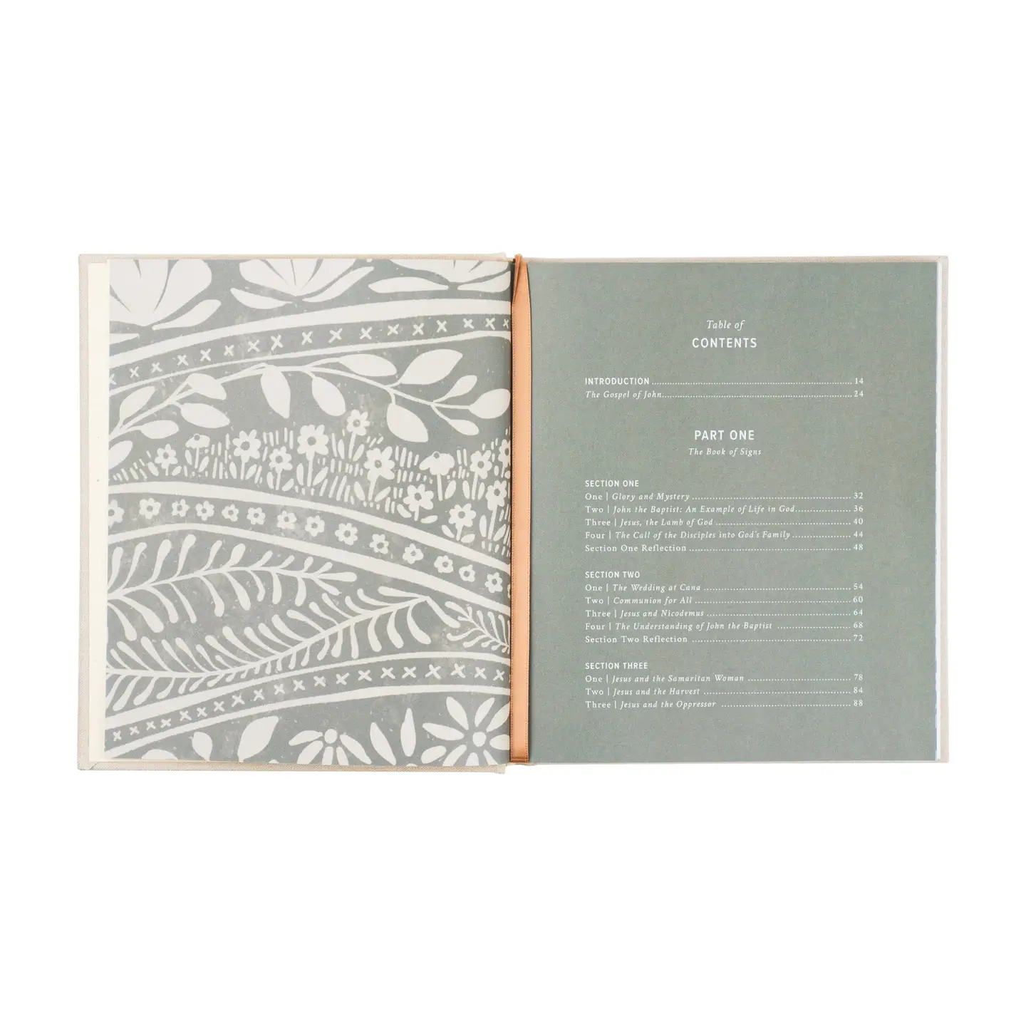 'God Our Home' Study - Image 6