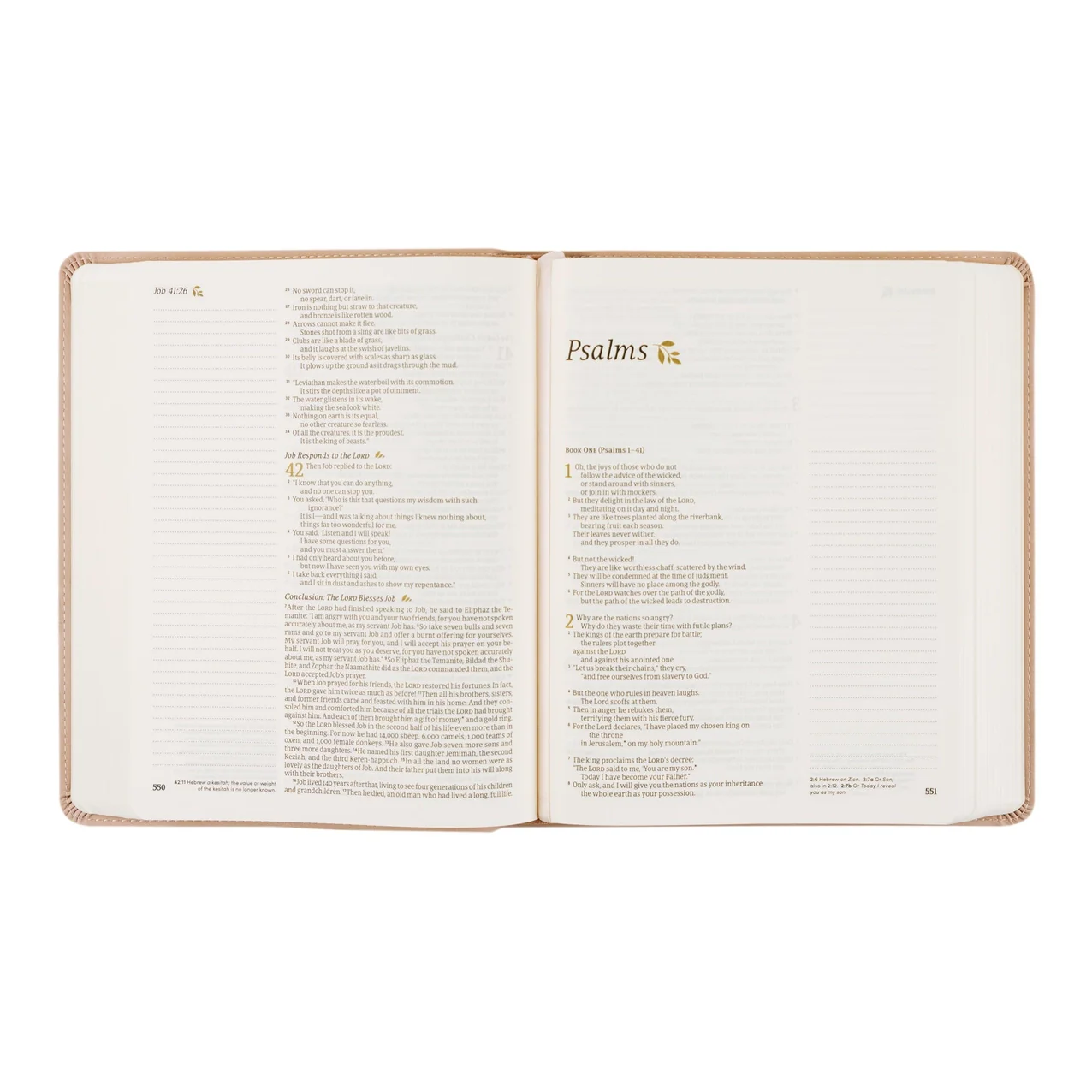NLT Notetaking Bible - Flourish - Image 4
