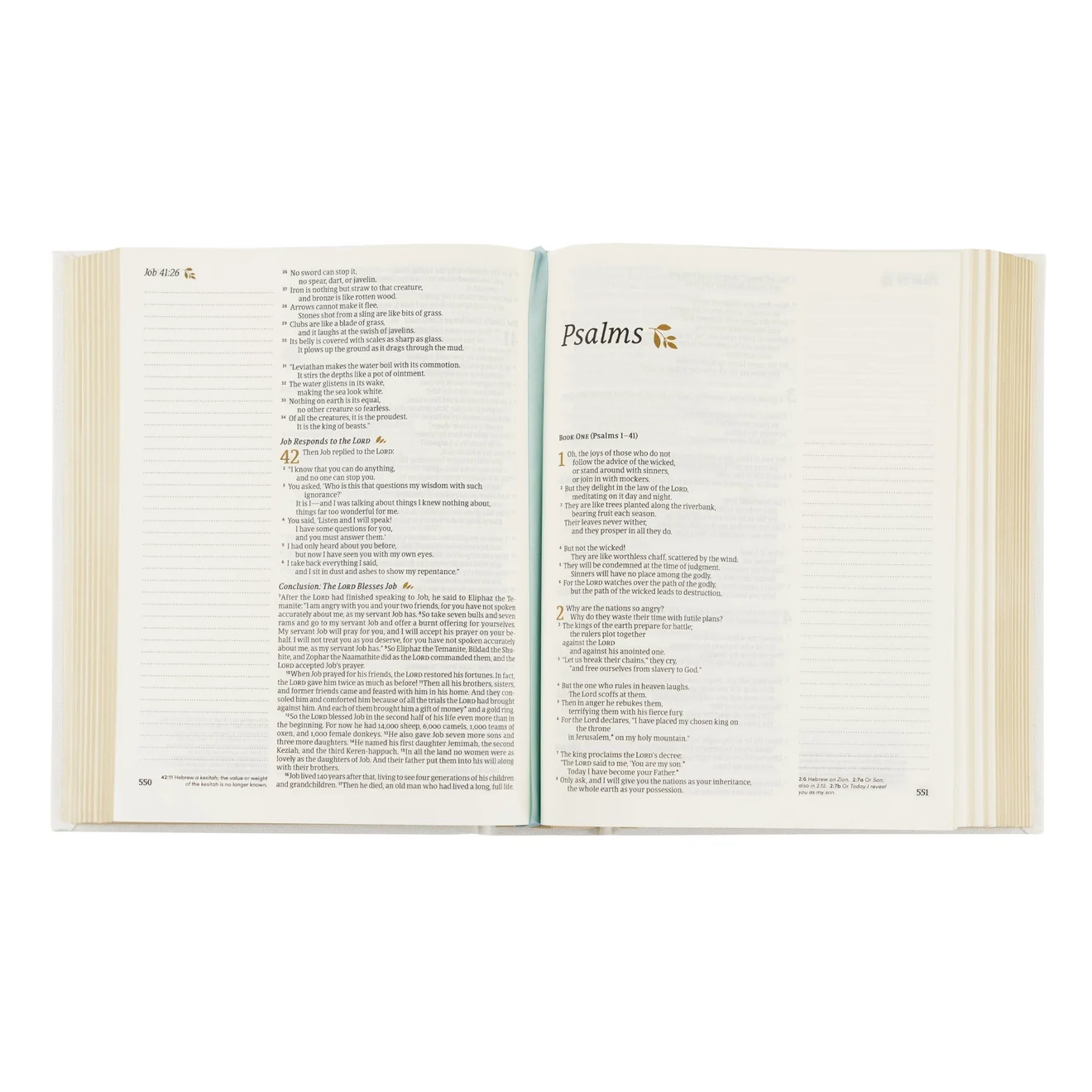 NLT Notetaking Bible - Wildflower Embroidered - Image 5